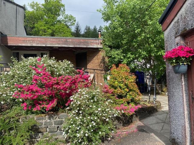 Sir Andrew Murray House ストラサ エクステリア 写真
